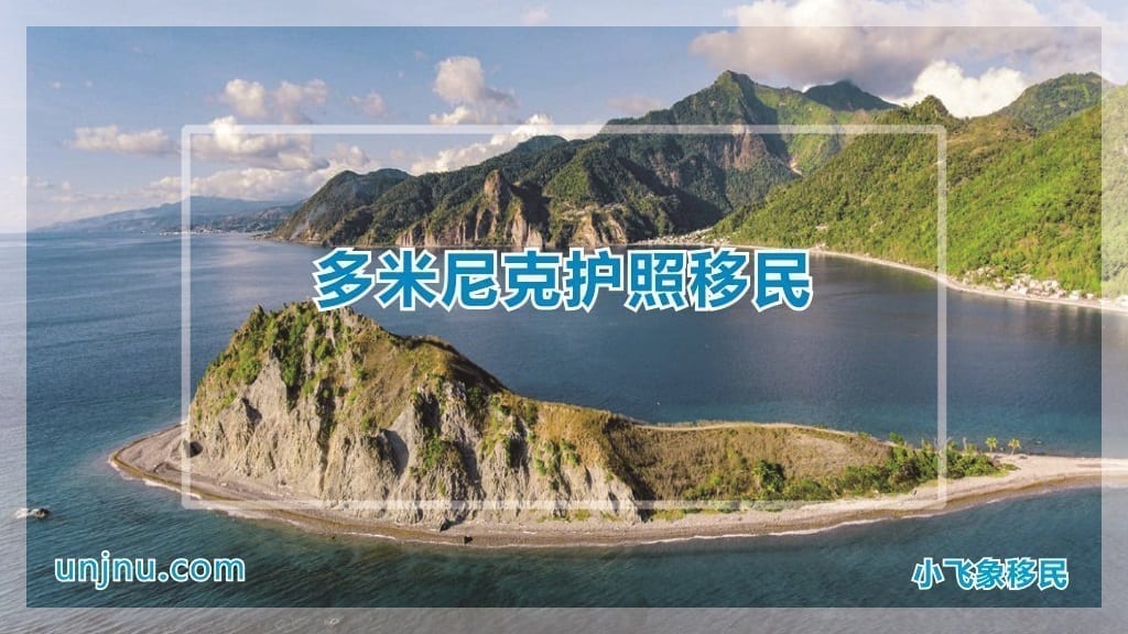 unjn小飞象多米尼克护照移民