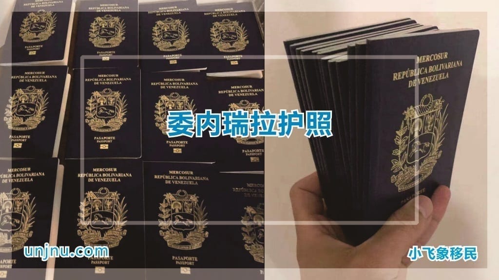 unjnu小飞象委内瑞拉归化入籍护照办理400-888-2271