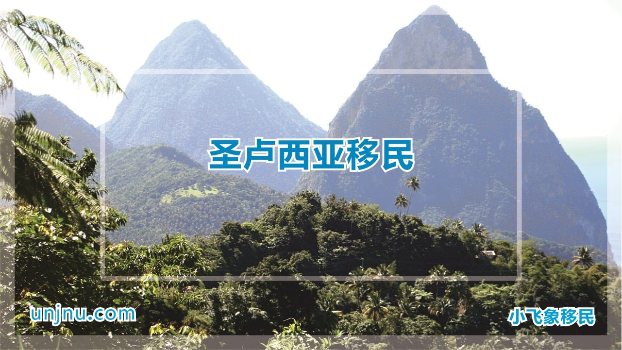 unjnu小飞象圣卢西亚移民400-888-2271