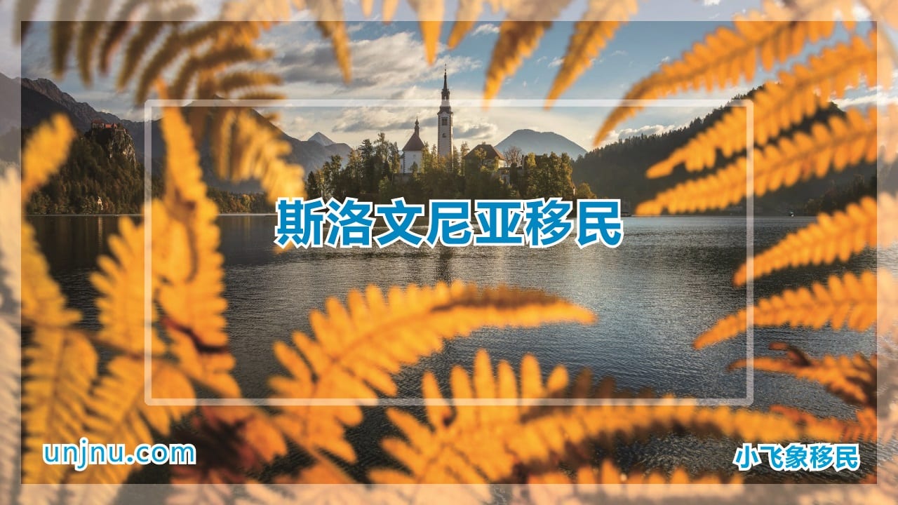 unjnu小飞象斯洛文尼亚移民