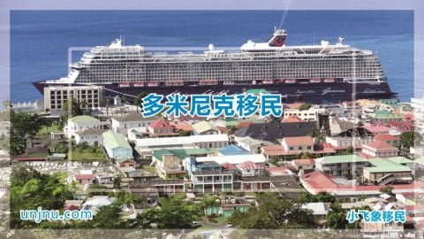 unjn小飞象多米尼克移民400-888-2271