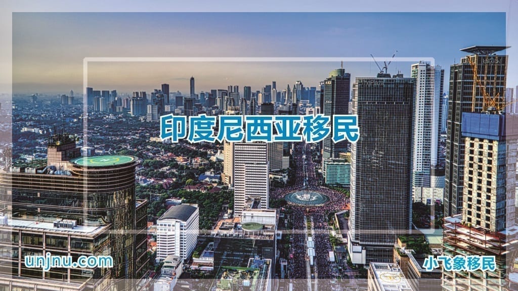 unjnu小飞象印度尼西亚护照移民400-888-2271